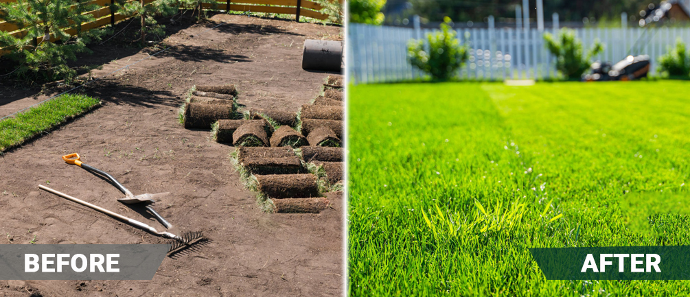 before and after landscaping